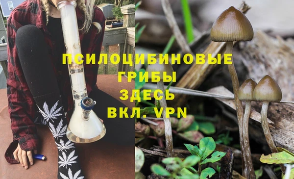 марки lsd Волосово