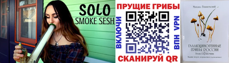 Купить где  Серафимович  Галлюциногенные грибы Psilocybine cubensis 